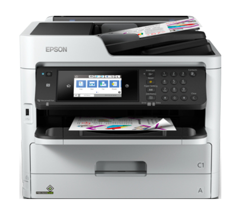 Epson C11CG02401PP