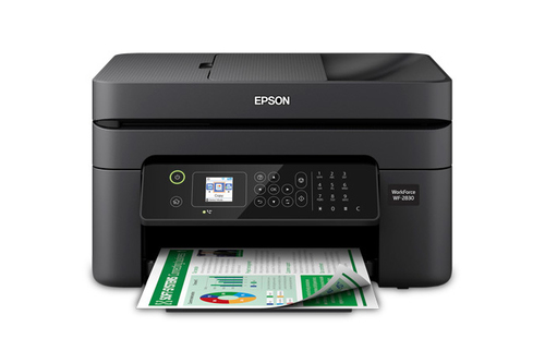 Epson C11CG30401