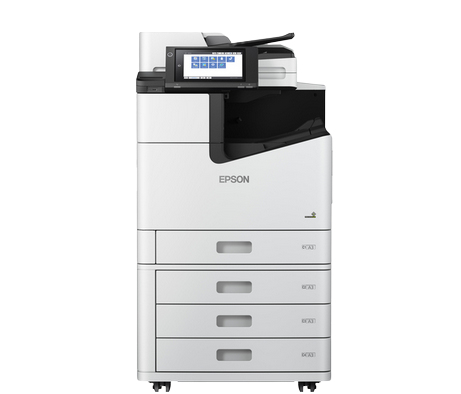 Epson C11CH88401BY