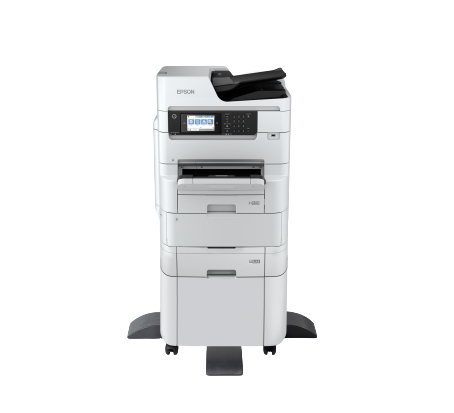 Epson C11CH87401BY