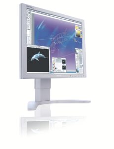 Philips 190P7EG 19