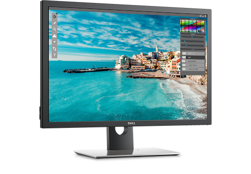 DELL DELL-UP3017A