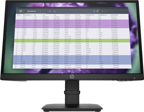 HP P22 G4 22 FHD Monitor