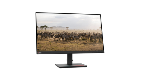Lenovo ThinkVision S27e-20 68.6 cm (27") 1920 x 1080 pixels Full HD LED