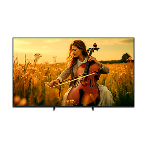 Sony BRAVIA 5